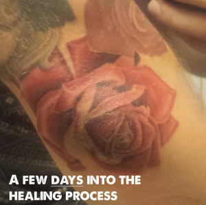 tattoo healing process